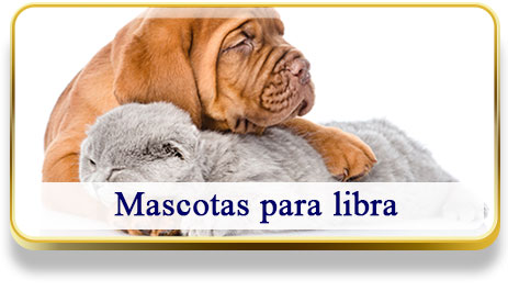 Mascotas para Libra